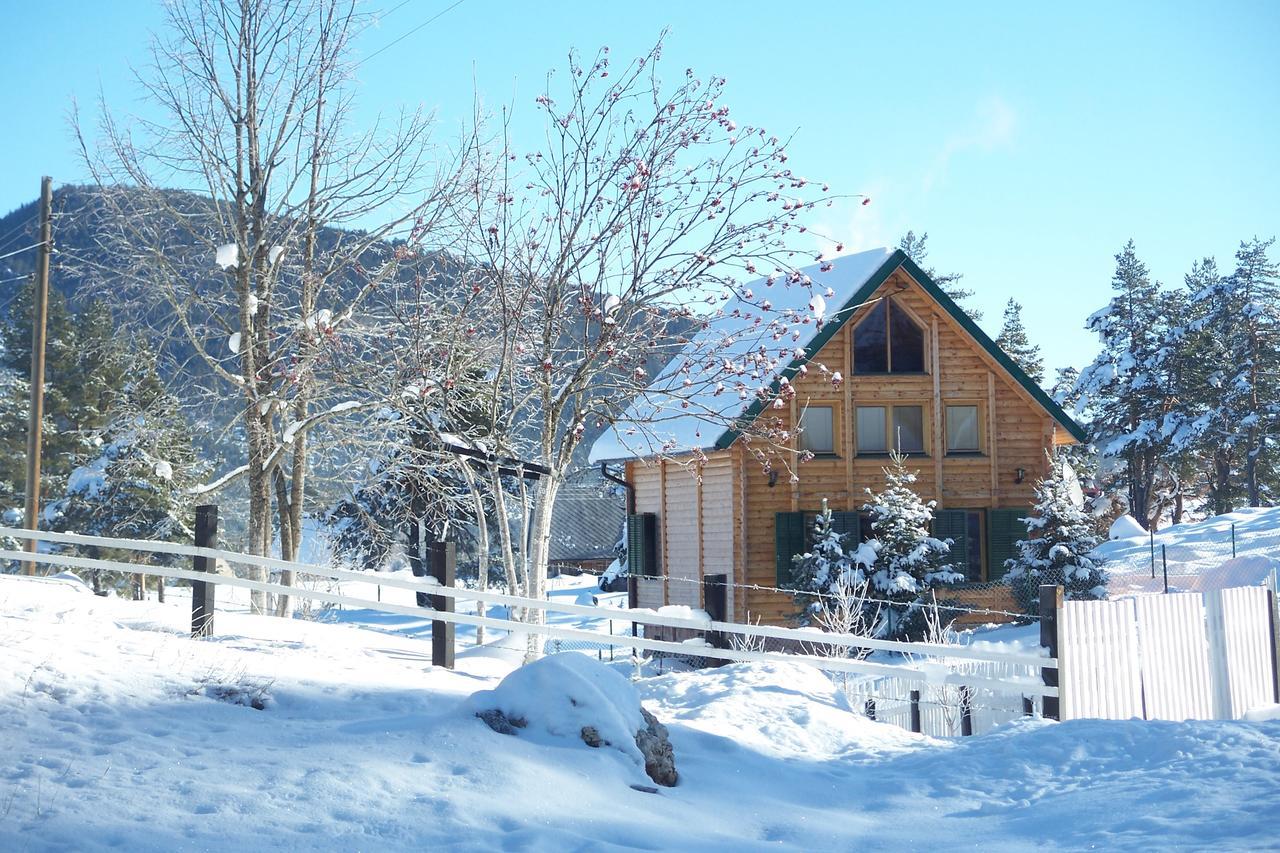 Kuca U Borju - House In Pines Leilighet Žabljak Eksteriør bilde