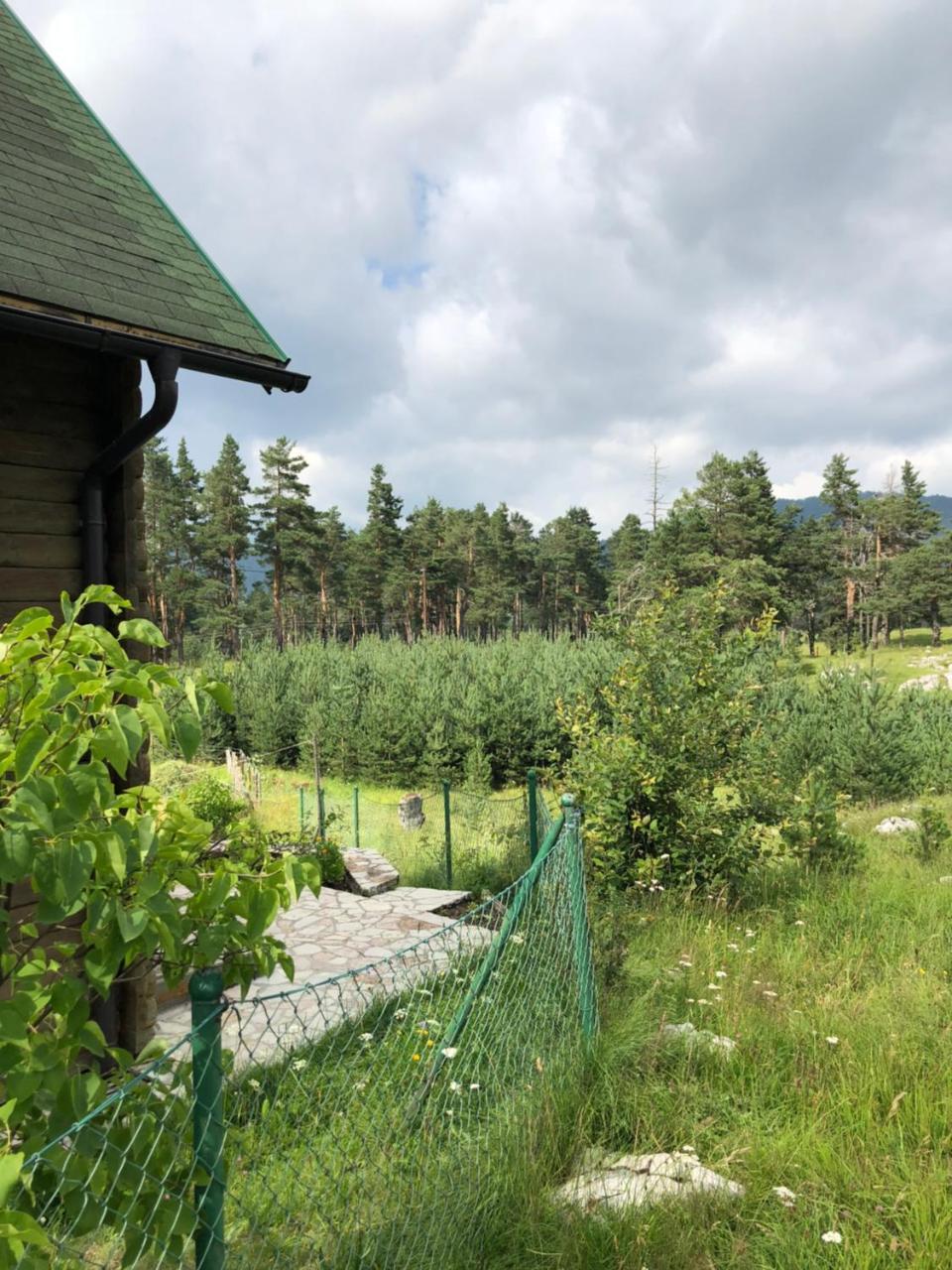 Kuca U Borju - House In Pines Leilighet Žabljak Eksteriør bilde