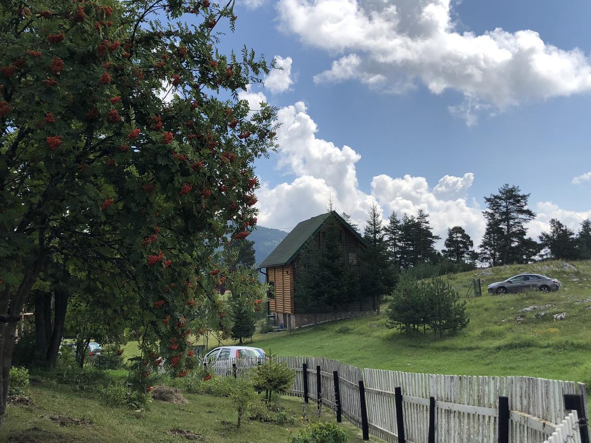 Kuca U Borju - House In Pines Leilighet Žabljak Eksteriør bilde